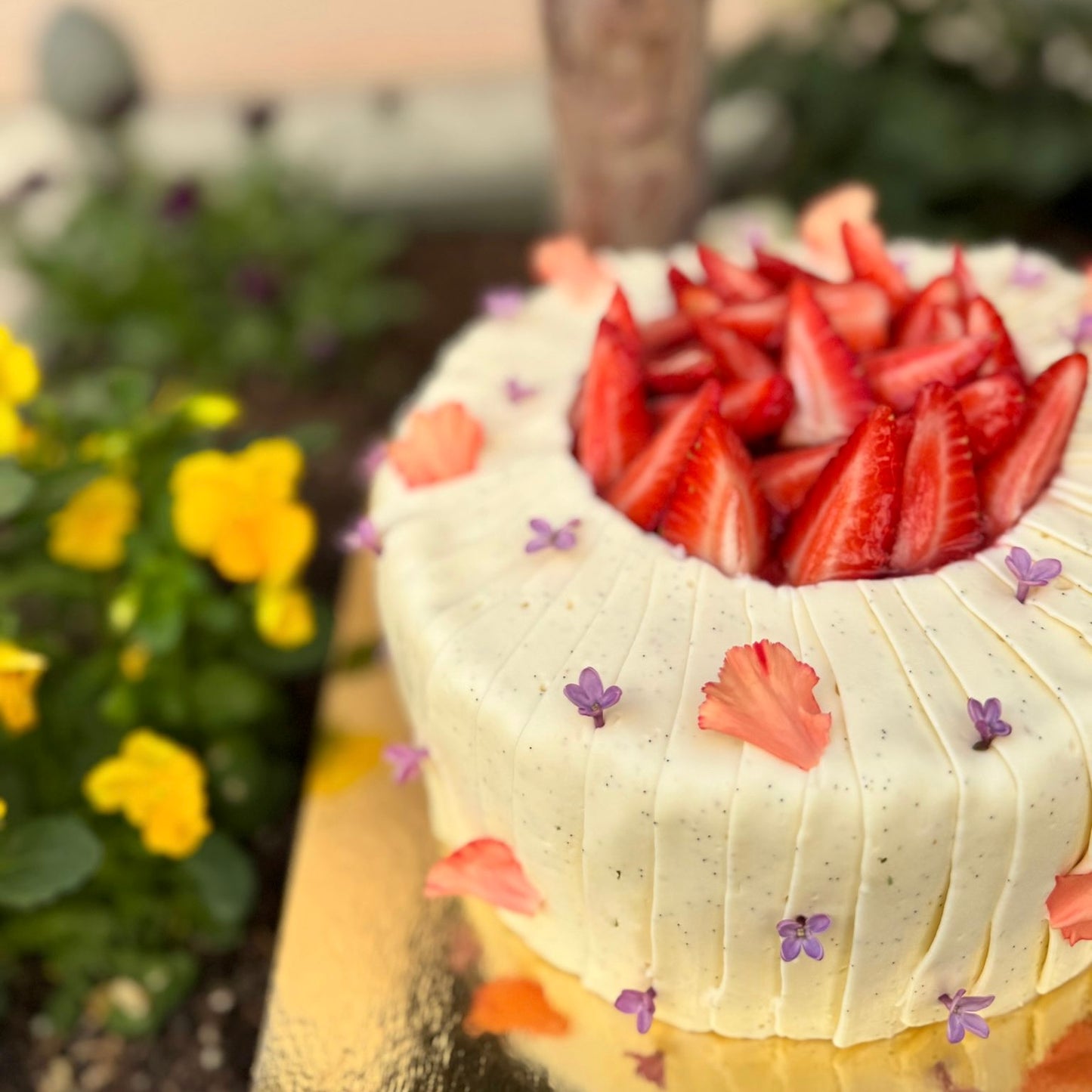 Muttertag- Fraisier
