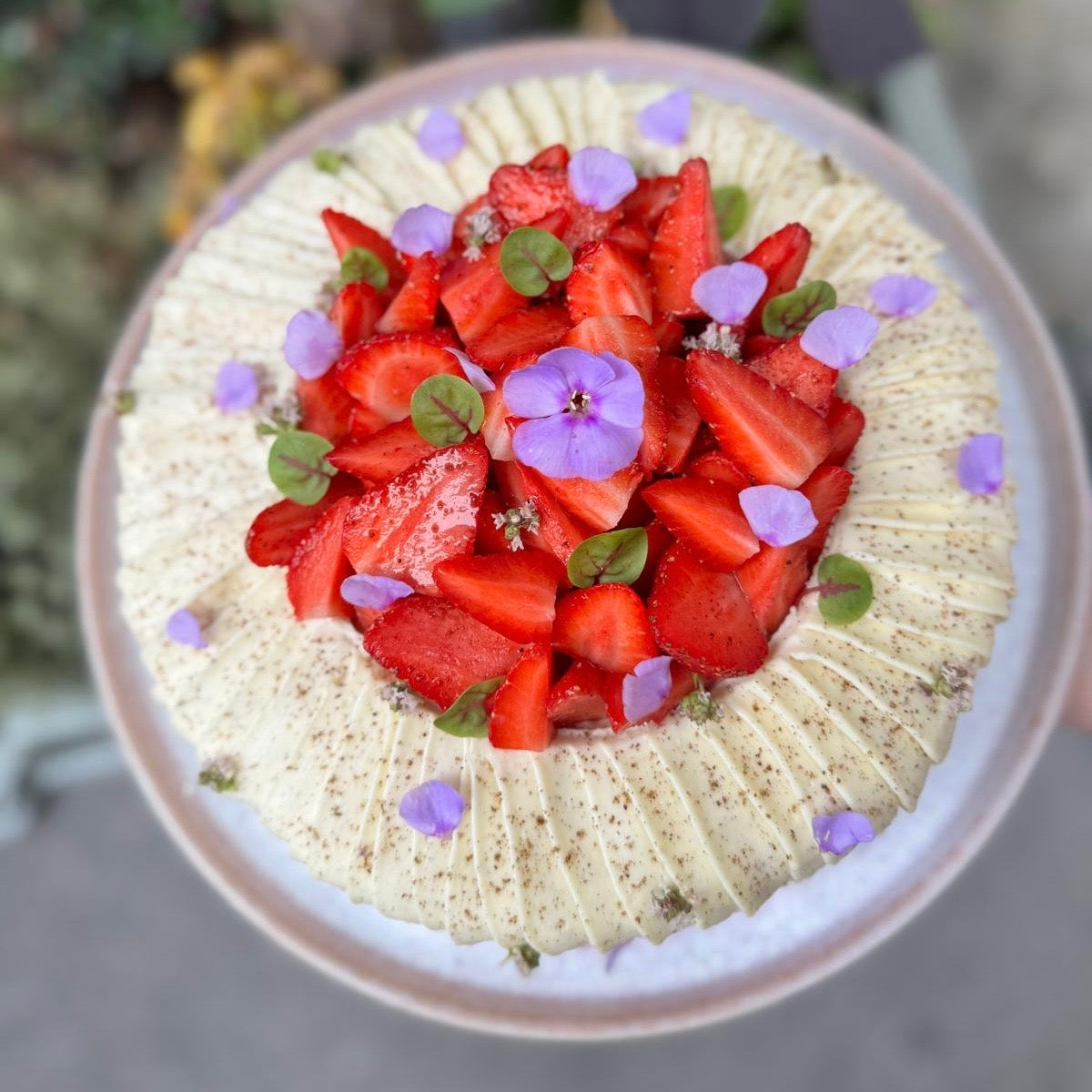 Fraisier